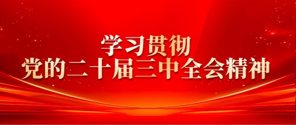 学习贯彻党的二十届三中全会精神② Z6·尊龙凯时园区集团董事长刘孝萌：抓好“建、招、储、运”,建设高质量产业园区